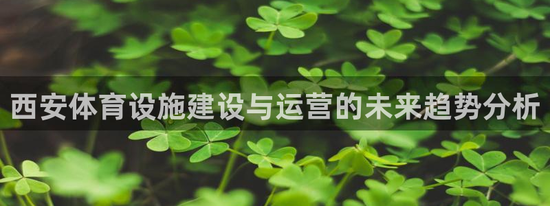 意昂体育4联系电话：西安体育设施建设与运营的未来趋势分析