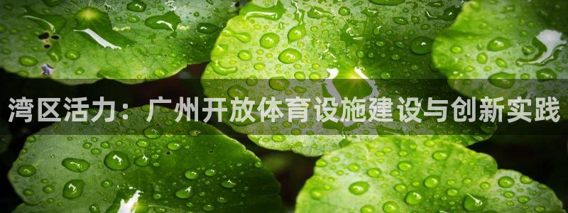 意昂体育4平台是正规平台吗知乎：湾区活力：广州开放体育设施建