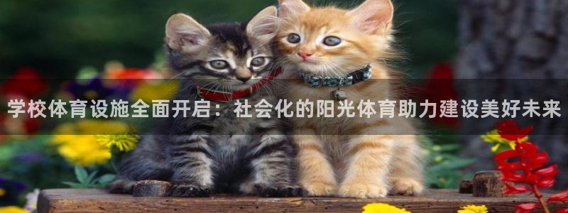 意昂体育4平台假的吗是真的吗：学校体育设施全面开启：社会化的