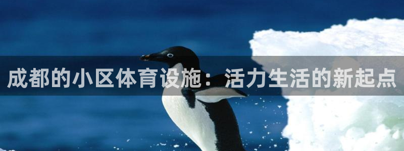 意昂4集团简介：成都的小区体育设施：活力生活的新起点